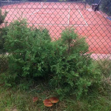 Letniskowy Z Kortem Tenisowym Karwia Ostrowo Ostrowo (Puck)