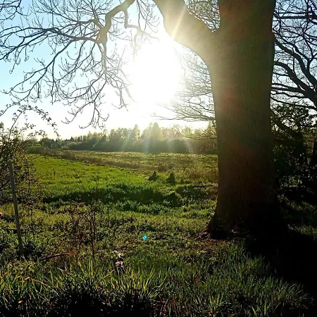 Letniskowy Z Kortem Tenisowym Karwia Ostrowo Gerendaház Władysławowo