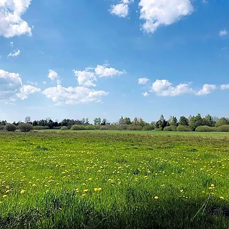 Letniskowy Z Kortem Tenisowym Karwia Lodge Ostrowo (Puck)